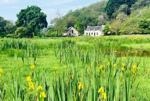 Cocon Nature et bain nordique à 37 degrés
