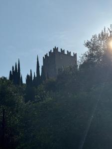 Garden Retreat Near the Castle