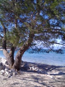 Apartments Villa Elizabet