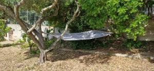 Villa Rosmarino img44