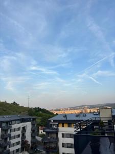 Cozy Gem Cluj meets Nature