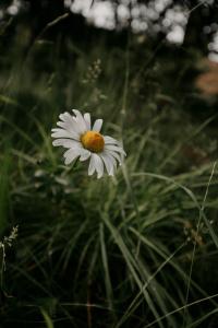 Pärchen Auszeit am Rande der Heide Constantia Apartment