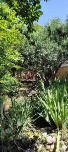 Maisons de vacances Maison conviviale avec jardin a Bras-d-Asse : photos des chambres