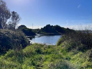 OFIR NATURE