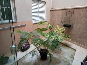 Parque Ecológico Studios - Térreo