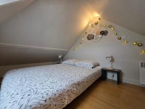 Appartements LE STUPLEX : photos des chambres