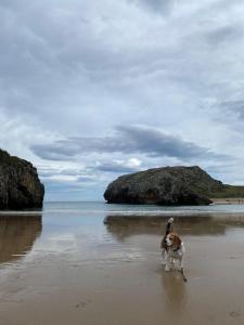 La Cometa, Vivienda Vacacional