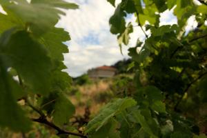 Hermosa casa en entorno termal