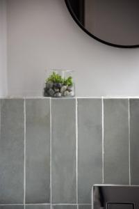 Appartements Le Paradoux - Luxe & Brique au coeur de Toulouse : photos des chambres