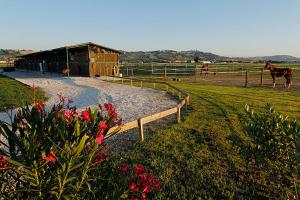 B&B Centro Ippico Andrea