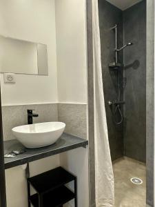 Appartements Dolaizon 2 - Studio Meuble 28 M2 : Appartement 2 Chambres