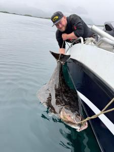 Northern Light HotellCamp Steinfjord