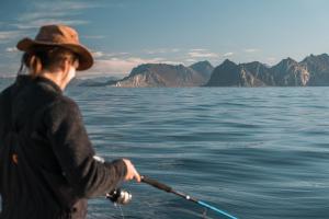 Northern Light HotellCamp Steinfjord