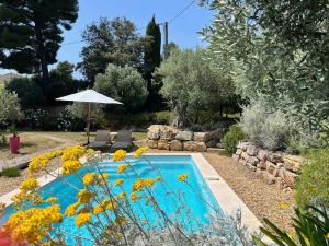 B&B / Chambres d'hotes La Villa Aux Oliviers : photos des chambres