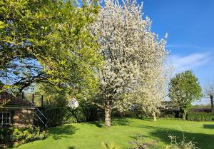 B&B / Chambres d'hotes Studio cosy : photos des chambres