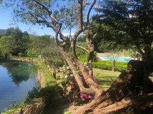 Quinta de Barbêdo - Turismo Rural