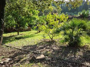 Villas Spacious villa in Biot : photos des chambres