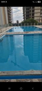 Gonio Pontos Mgzavrebi