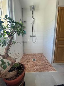 Villas Une villa en Provence : photos des chambres