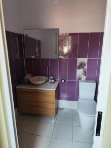 Summer Oasis in Constanta