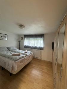 Beautiful apartment in the heart of Keflavik