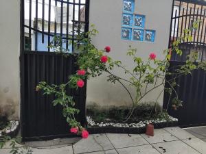 Casa Mobiliada Cj Paraíso dos Pássaros