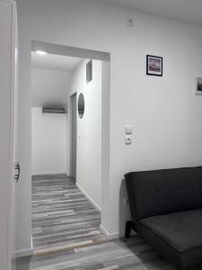 ROYAL RACiNG SUITE TOP 6