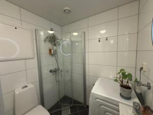 Apartment near Solsiden