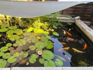 Apartment with terrace in Trnava