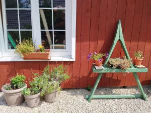 Three Little Birds Suite