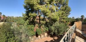 Villa Palmeraire Marrakech, Private pool, Private Hamam