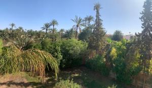 Villa Palmeraire Marrakech, Private pool, Private Hamam