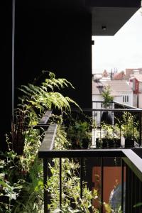 Ben Ben - Casa De iluso