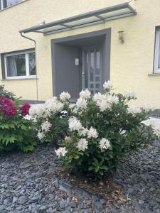 Metropolitan am Schloßpark