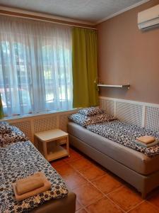 Twin Room with Shower room in Karpatia Panzio