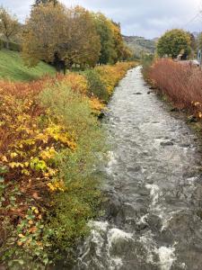 Très beau meublé lumineux
