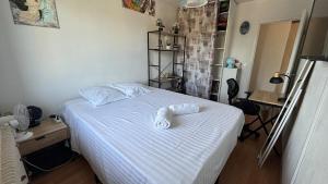 Maisons de vacances La Lemania : photos des chambres
