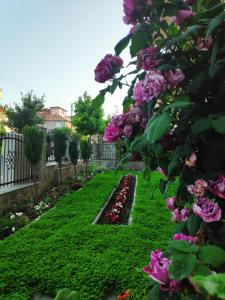 Къща за гости Снежа Guest house Snezha