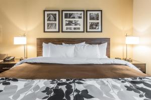King Room - Non-Smoking room in Sleep Inn & Suites Jasper I-22