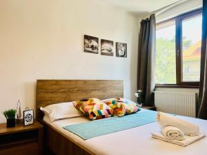 Joy City Stay Victor Babes 14