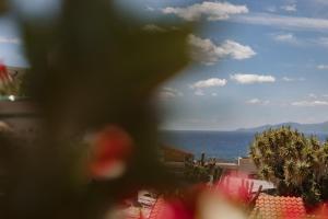 Casa Vacanze Rosy " Nel Centro"