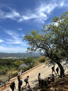 Appartements Ocra Pure : photos des chambres