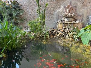 Appartements El Castell Embruixat : photos des chambres