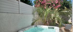 Appartement avec jardin et spa