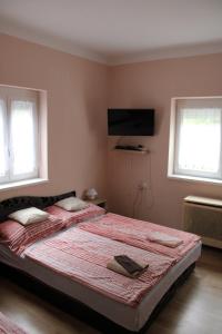 Hattyú vendégház Poroszló