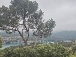 Villas Les Oliviers Du Lac : photos des chambres