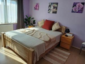 Apartment with terrace in Berchem-Sainte-Agathe