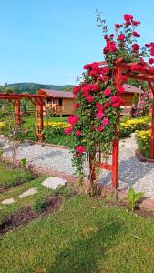 Baltina Parc Transfagarasan