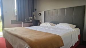 Hotels Brit Hotel Marvejols : photos des chambres