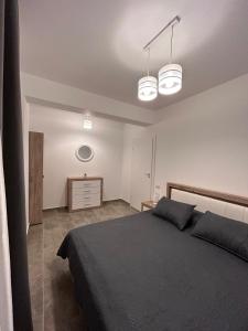 Apartament Andrei